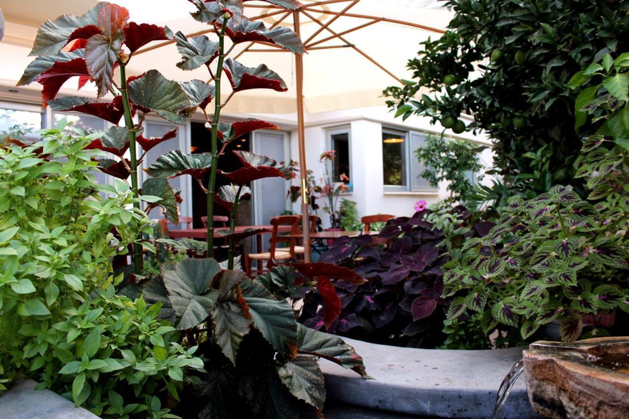 Philoxenia Hotel & Studios Rhodes City Bagian luar foto